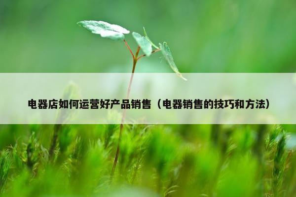 电器店如何运营好产品销售（电器销售的技巧和方法）