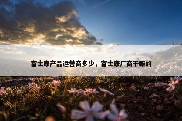 富士康产品运营商多少，富士康厂商干嘛的