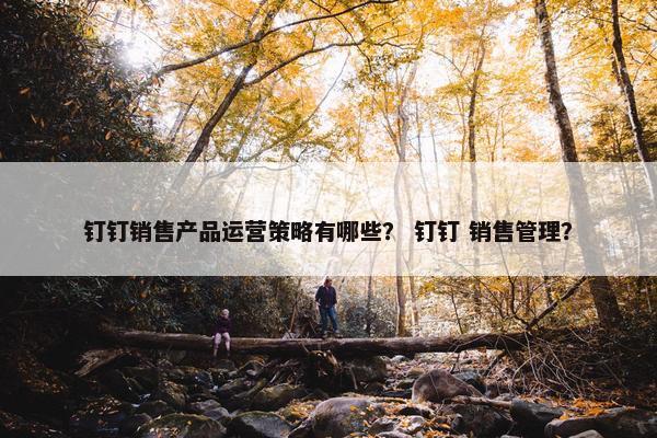 钉钉销售产品运营策略有哪些？ 钉钉 销售管理？