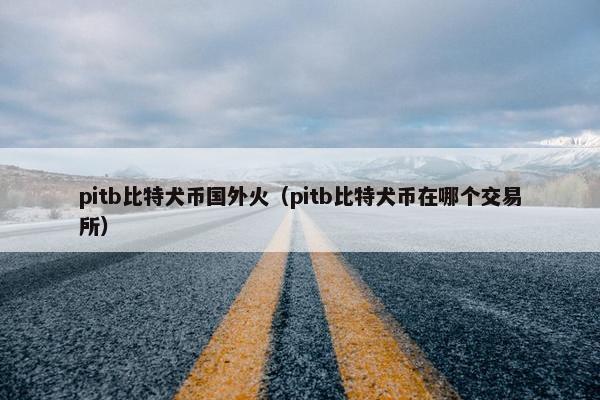 pitb比特犬币国外火（pitb比特犬币在哪个交易所）