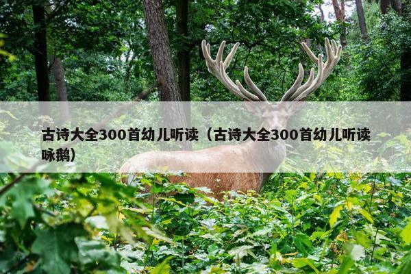 古诗大全300首幼儿听读（古诗大全300首幼儿听读咏鹅）