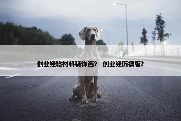 创业经验材料装饰画？ 创业经历模版？
