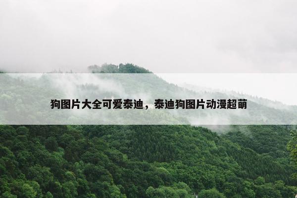 狗图片大全可爱泰迪，泰迪狗图片动漫超萌