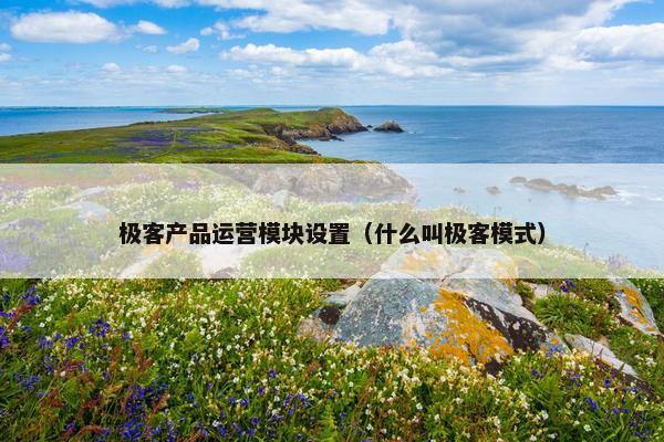 极客产品运营模块设置（什么叫极客模式）