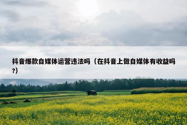 抖音爆款自媒体运营违法吗（在抖音上做自媒体有收益吗?）