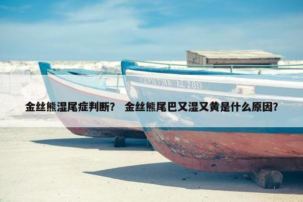 金丝熊湿尾症判断？ 金丝熊尾巴又湿又黄是什么原因？