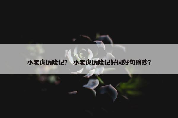 小老虎历险记？ 小老虎历险记好词好句摘抄？