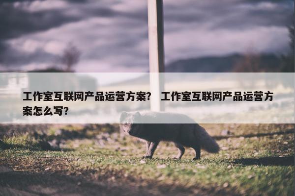 工作室互联网产品运营方案？ 工作室互联网产品运营方案怎么写？
