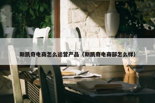 斯凯奇电商怎么运营产品（斯凯奇电商部怎么样）