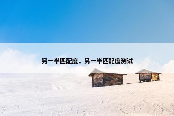 另一半匹配度，另一半匹配度测试