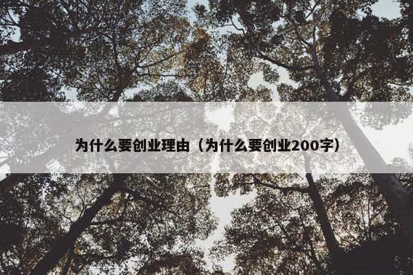 为什么要创业理由（为什么要创业200字）