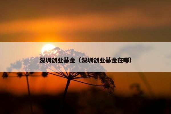 深圳创业基金（深圳创业基金在哪）