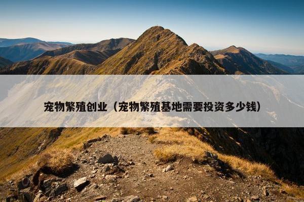 宠物繁殖创业（宠物繁殖基地需要投资多少钱）