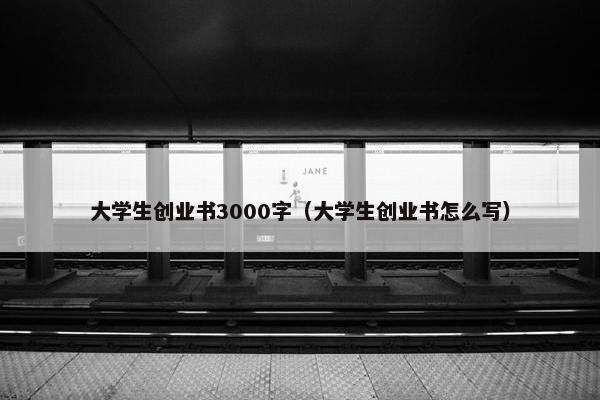 大学生创业书3000字（大学生创业书怎么写）