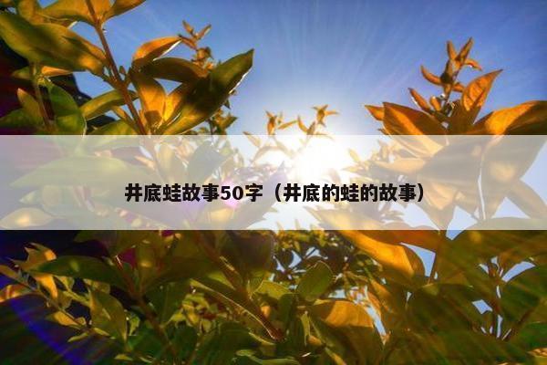 井底蛙故事50字（井底的蛙的故事）