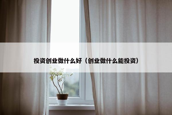 投资创业做什么好（创业做什么能投资）