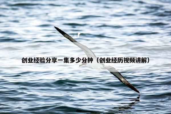 创业经验分享一集多少分钟（创业经历视频讲解）