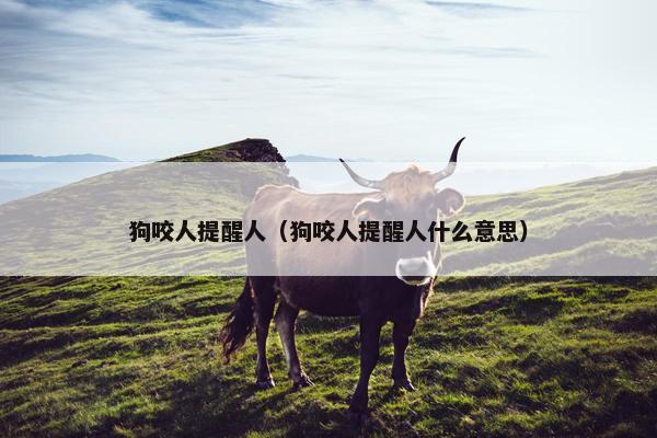狗咬人提醒人（狗咬人提醒人什么意思）