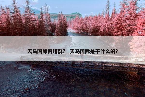 天马国际网赚群？ 天马国际是干什么的？