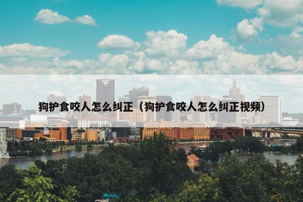 狗护食咬人怎么纠正（狗护食咬人怎么纠正视频）