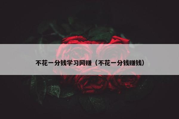 不花一分钱学习网赚（不花一分钱赚钱）