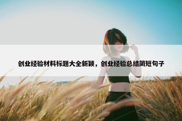 创业经验材料标题大全新颖，创业经验总结简短句子