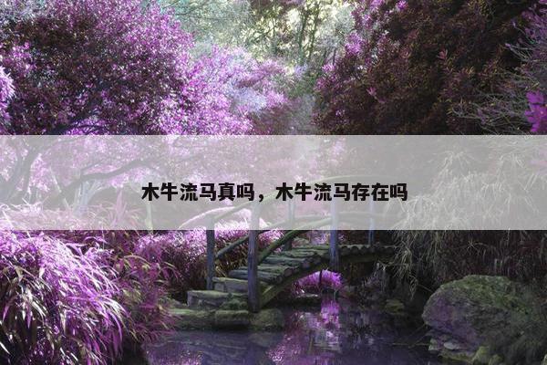 木牛流马真吗，木牛流马存在吗