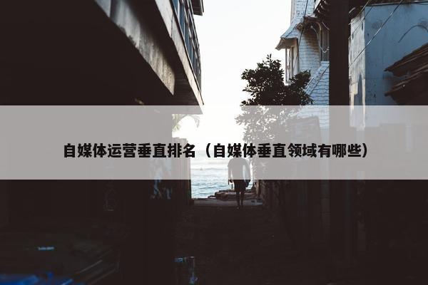 自媒体运营垂直排名（自媒体垂直领域有哪些）