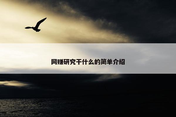网赚研究干什么的简单介绍