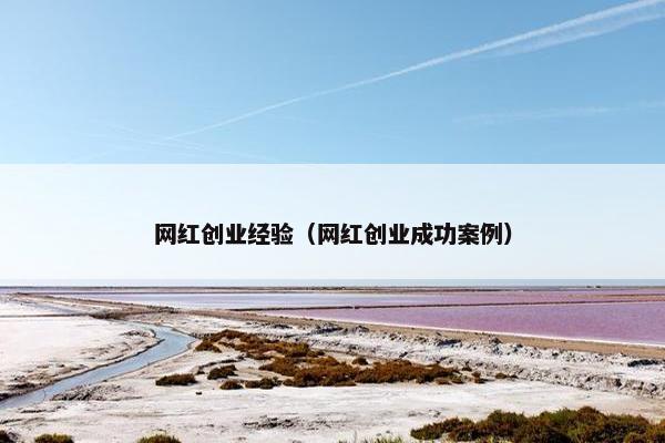 网红创业经验（网红创业成功案例）