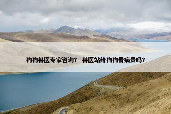 狗狗兽医专家咨询？ 兽医站给狗狗看病贵吗？