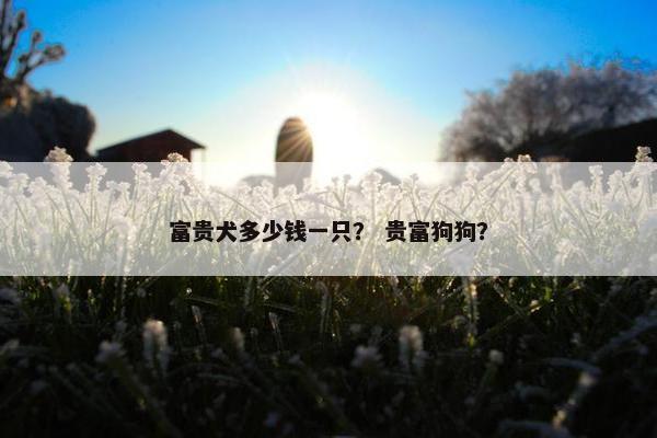 富贵犬多少钱一只？ 贵富狗狗？