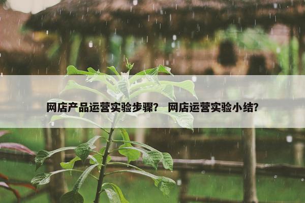 网店产品运营实验步骤？ 网店运营实验小结？