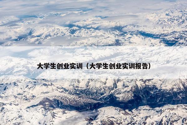 大学生创业实训（大学生创业实训报告）
