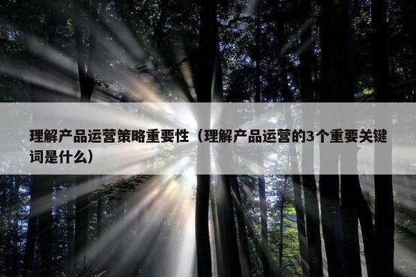 理解产品运营策略重要性（理解产品运营的3个重要关键词是什么）