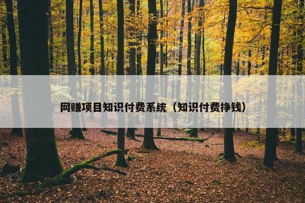 网赚项目知识付费系统（知识付费挣钱）