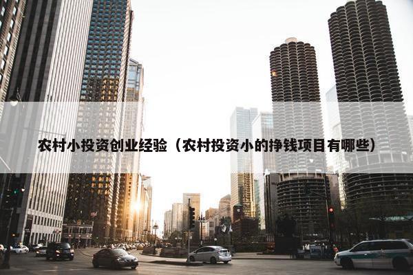 农村小投资创业经验（农村投资小的挣钱项目有哪些）