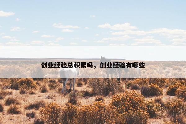 创业经验总积累吗，创业经验有哪些