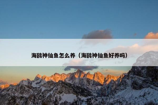 海鸥神仙鱼怎么养（海鸥神仙鱼好养吗）