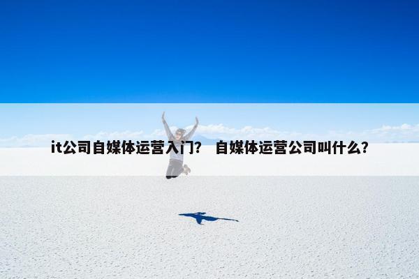 it公司自媒体运营入门？ 自媒体运营公司叫什么？