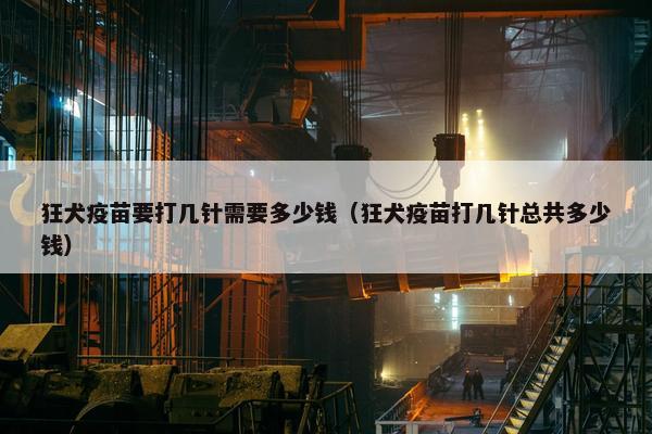 狂犬疫苗要打几针需要多少钱（狂犬疫苗打几针总共多少钱）