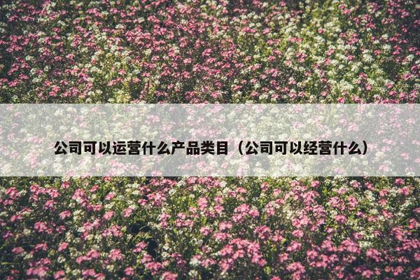 公司可以运营什么产品类目（公司可以经营什么）