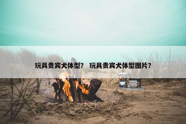 玩具贵宾犬体型？ 玩具贵宾犬体型图片？