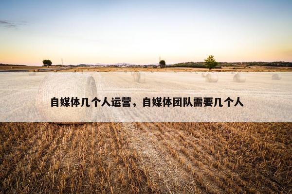 自媒体几个人运营，自媒体团队需要几个人