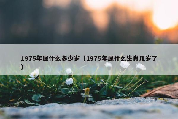 1975年属什么多少岁（1975年属什么生肖几岁了）