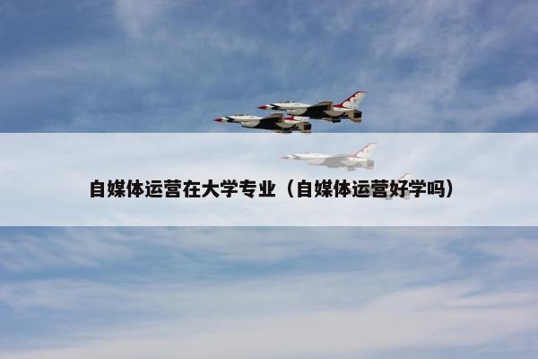 自媒体运营在大学专业（自媒体运营好学吗）