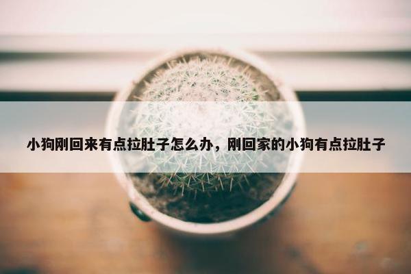 小狗刚回来有点拉肚子怎么办，刚回家的小狗有点拉肚子