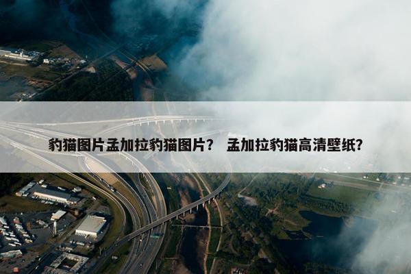 豹猫图片孟加拉豹猫图片？ 孟加拉豹猫高清壁纸？