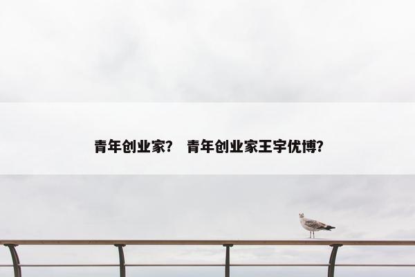 青年创业家？ 青年创业家王宇优博？