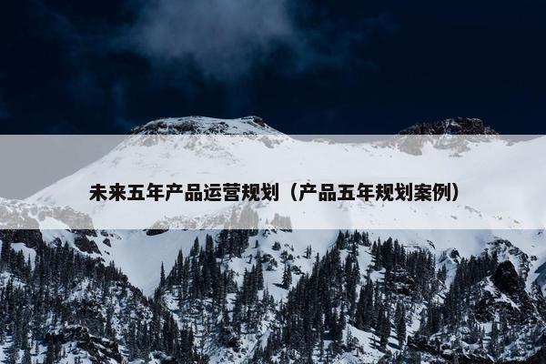 未来五年产品运营规划（产品五年规划案例）